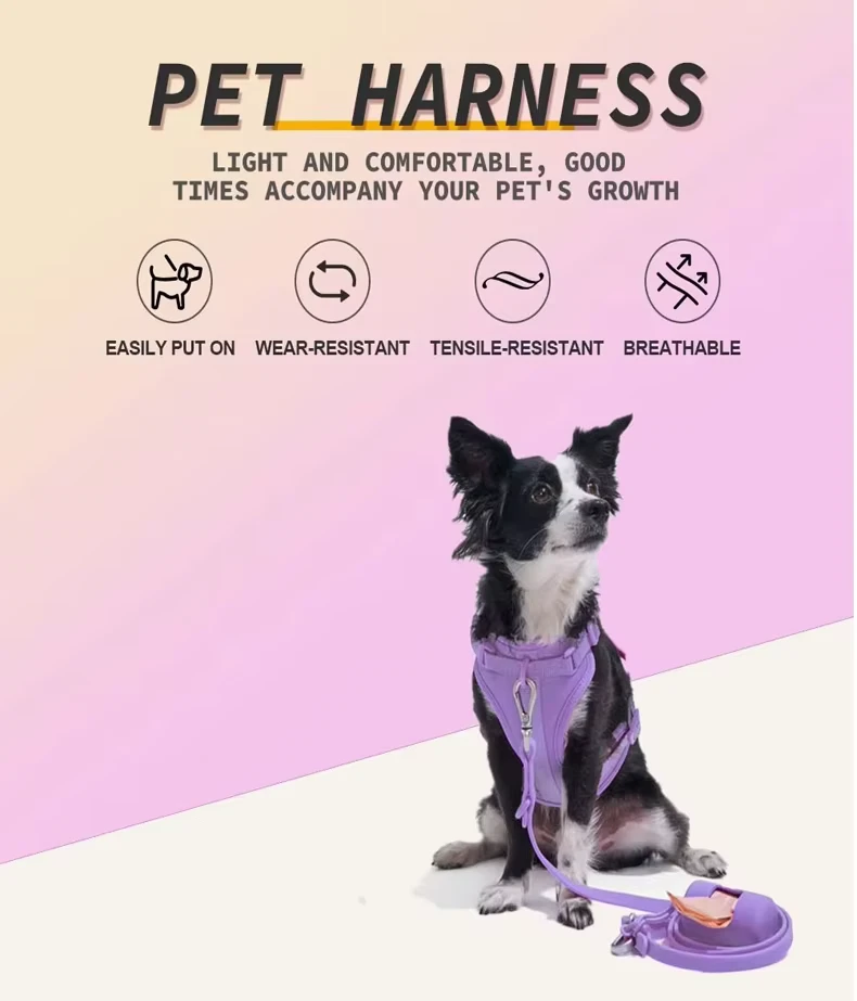 Köpekler İçin Eşleşen Koşum Takımı ve Tasma Kurşun Üzerinde Gelincik Köpek Koşum Takımı Eşleşen Tasma ile Köpek Koşum Takımı Eşleşen Koşum Takımı ve Tasma Kedi Koşum Takımı Kullanarak Eşleşen Köpek Koşum Takımı ve Tasma Toulifly Kedi Koşum Takımı Pupteck Yumuşak Örgü Kedi Yeleği Koşum Takımı Eşleşen Köpek Koşum Yaka ve Tasma Marshall Gelincik Koşum Takımı ve 8 Gelincik Koşum Takımı Cherpet Köpek Koşum Takımı