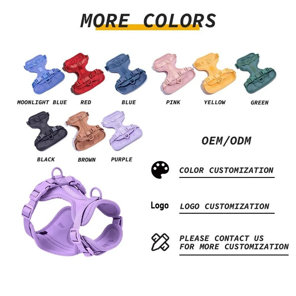 Matching Harness And Leash For Dogs Ferret On A Lead Dog Harness Matching Leash Dog Harness With Matching Leash Matching Harness And Leash Matching Dog Harness And Leash Using A Cat Harness Toulifly Cat Harness Pupteck Soft Mesh Cat Vest Harness Matching Dog Harness Collar And Le