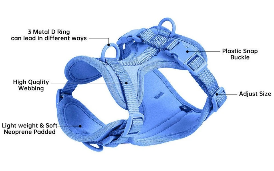 Matching Harness And Leash For Dogs Ferret On A Lead Dog Harness Matching Leash Dog Harness With Matching Leash Matching Harness And Leash Matching Dog Harness And Leash Using A Cat Harness Toulifly Cat Harness Pupteck Soft Mesh Cat Vest Harness Matching Dog Harness Collar And Le