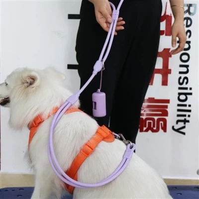 Eller ücretsiz köpek tasması