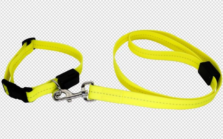 LED Işıklı Yeni Su Geçirmez Köpek Tasması Tasma Seti